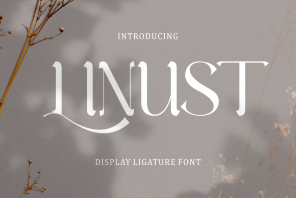 Linust: A Designer's Honest Review for Real Projects